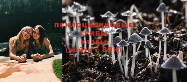 mdpv Алексеевка